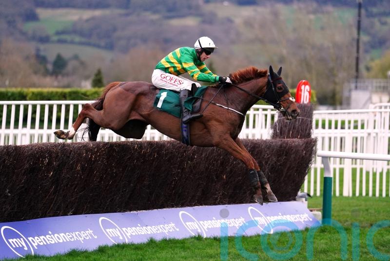 Corbetts Cross camp keeping Gold Cup prep options open