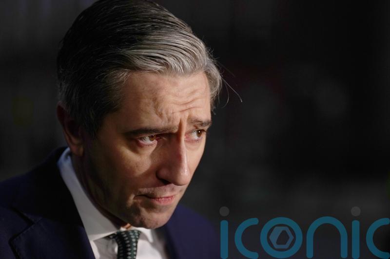 Blaming Ukraine for war is ‘revisionism on speed’, says Ireland’s deputy premier