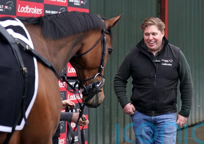 ‘I love everything about him’ – The New Lion ready to roar at Cheltenham