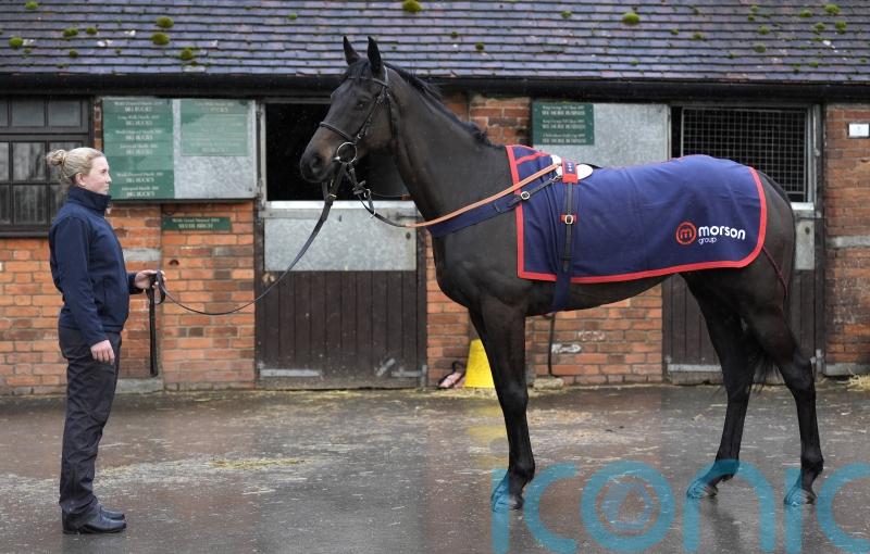 Nicholls looking to novice mares for Festival success