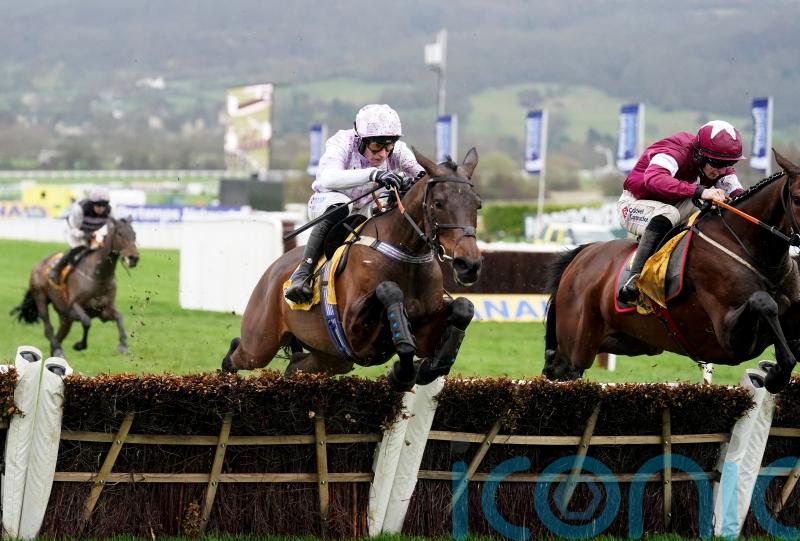 Scott favouring Mares’ Hurdle for Golden Ace