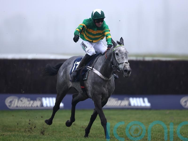 Joyeuse joins battle for Mares’ Hurdle honours