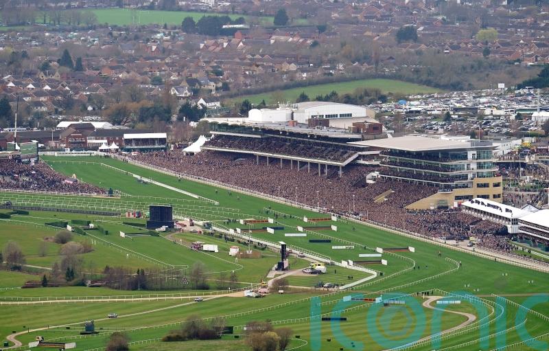 Cheltenham anticipating drop in Festival attendance