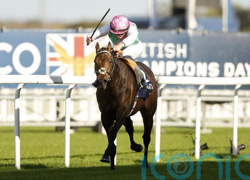 Classy Kalpana earmarked to ‘go the Bluestocking route’