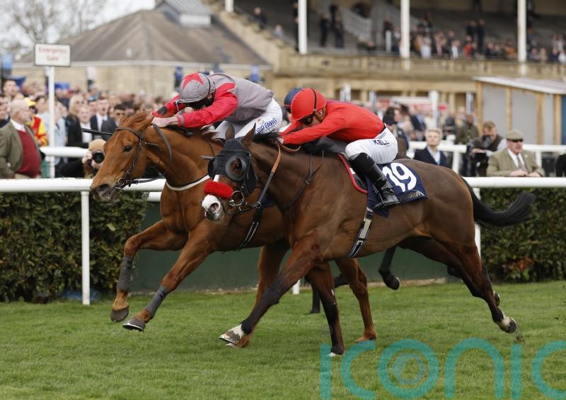 Thunder Roar team mulling Doncaster demotion appeal