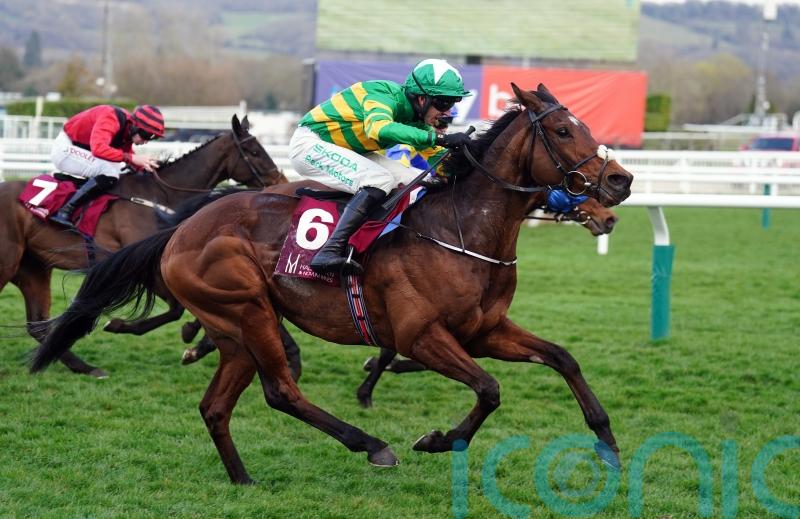 Puturhandstogether and Naturally Nimble flying flag for O’Brien