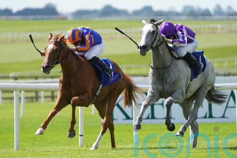 ‘Little setback’ could delay return of Falling Snow