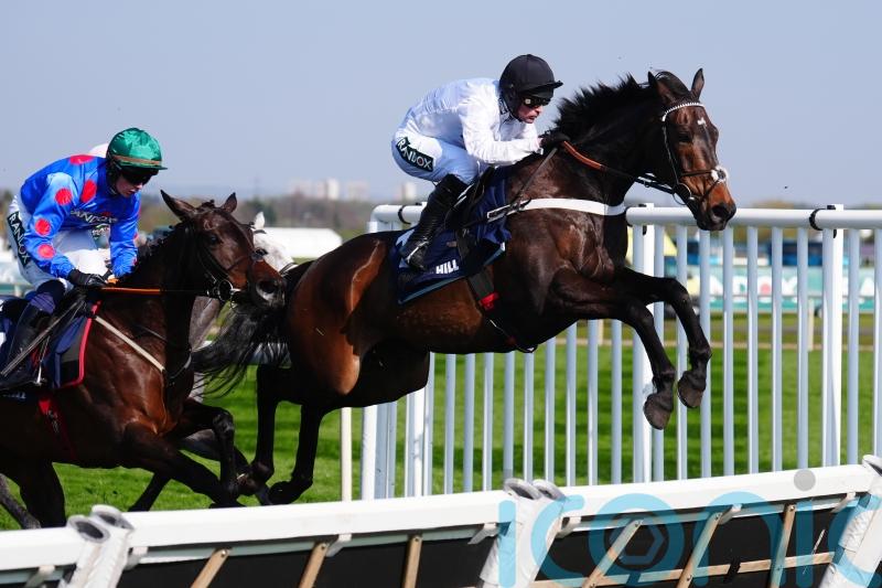 Constitution Hill ‘fresh as paint’, with sights set on Punchestown