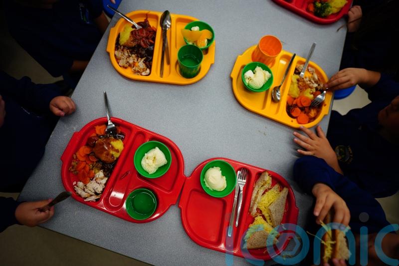 Nutritional value of hot school meals to be reviewed by Government