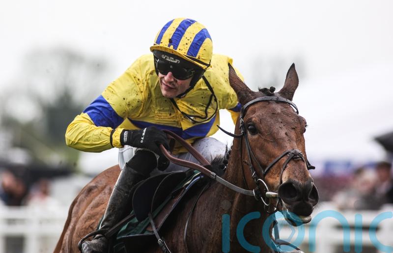 Spindleberry strikes Fairyhouse Gold for Willie Mullins