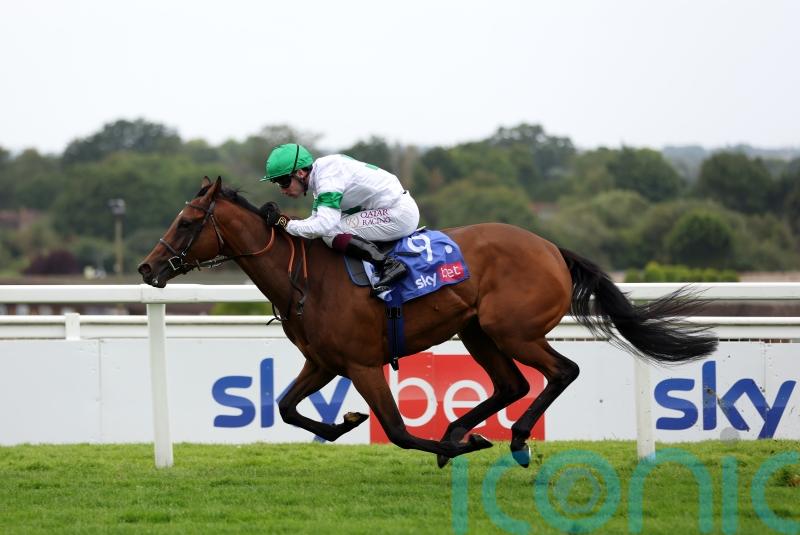 Tamfana back in action at Sandown on Friday