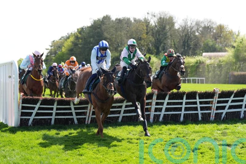 Ascending Lark swoops for Punchestown prize