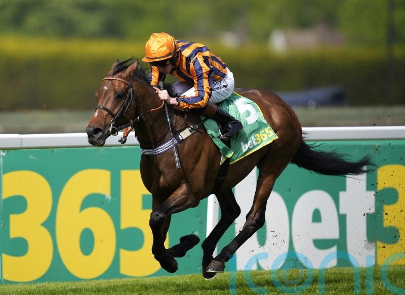Lockinge on Dancing Gemini radar if ground is right