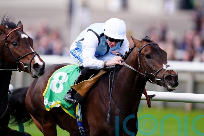 High Stock bidding to pose Derby dilemma in Dee Stakes