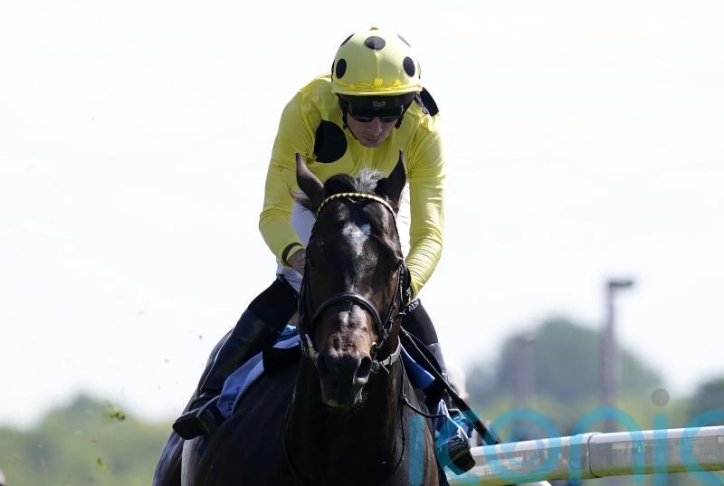 Inisherin coming to the boil for Royal Ascot run