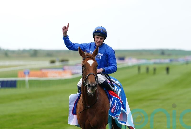 Unbeaten Desert Flower heads Oaks field