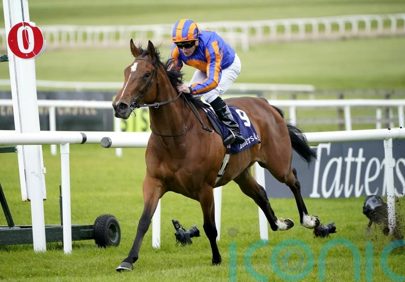 Lake Victoria ruled out of Royal Ascot