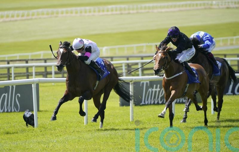 Donnacha O’Brien hoping Porta Fortuna will be back for the autumn