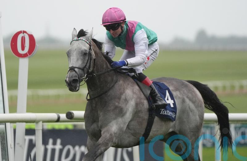 Field Of Gold on course for ’round two’ with Ruling Court