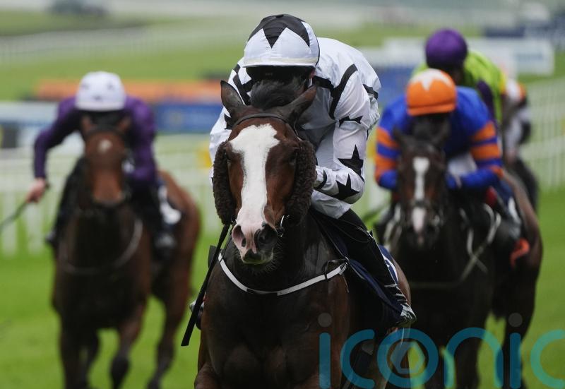 Brigid’s Cloak seeking new high at York