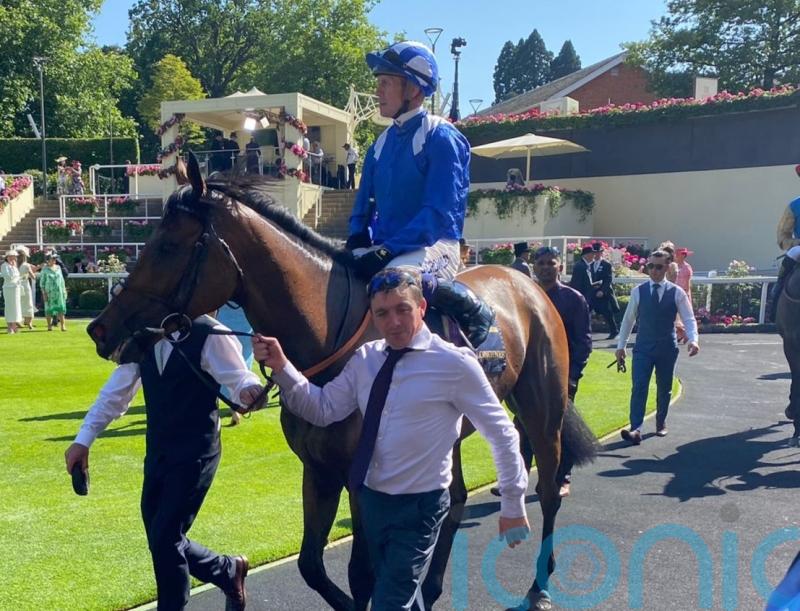 Anmaat gives his all in honourable defeat