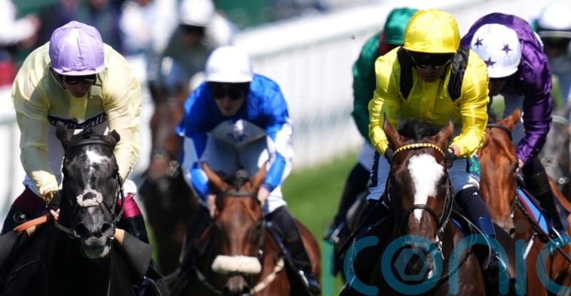 Ascot Eyecatcher Rahiebb will make his mark