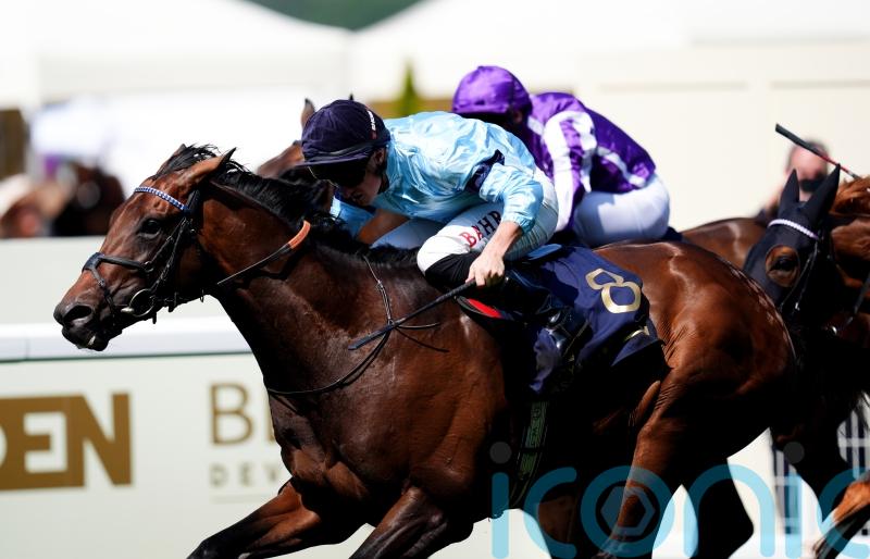 Goodwood set to be next port of call for Merchant