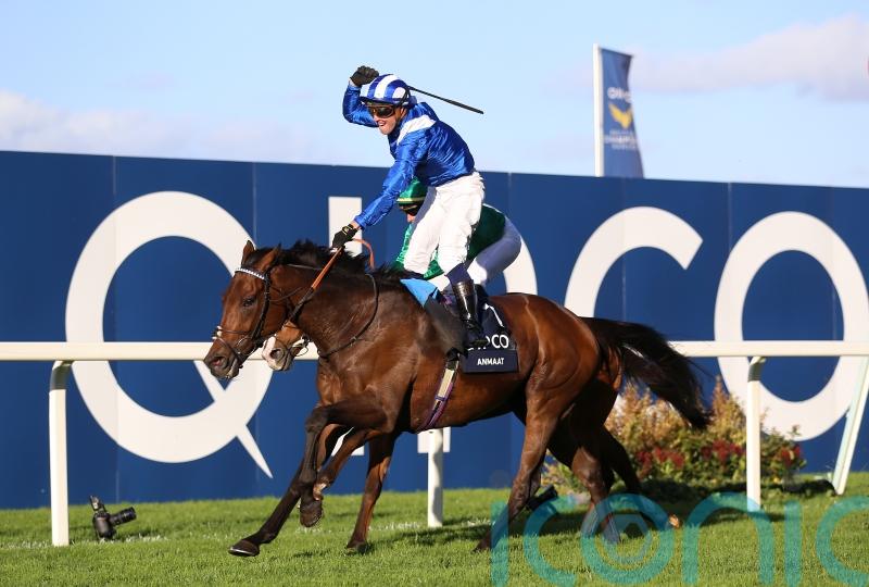 Rain required for next Anmaat adventure