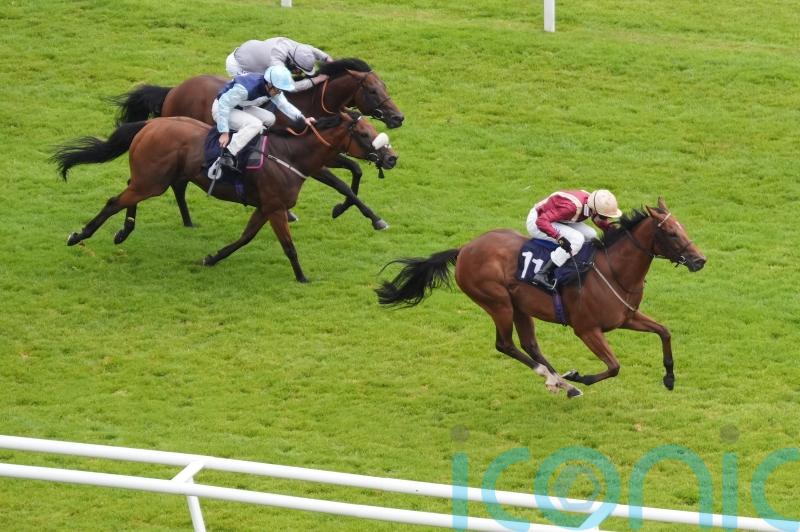 Rage Of Bamby is 33-1 winner of Hackwood Stakes