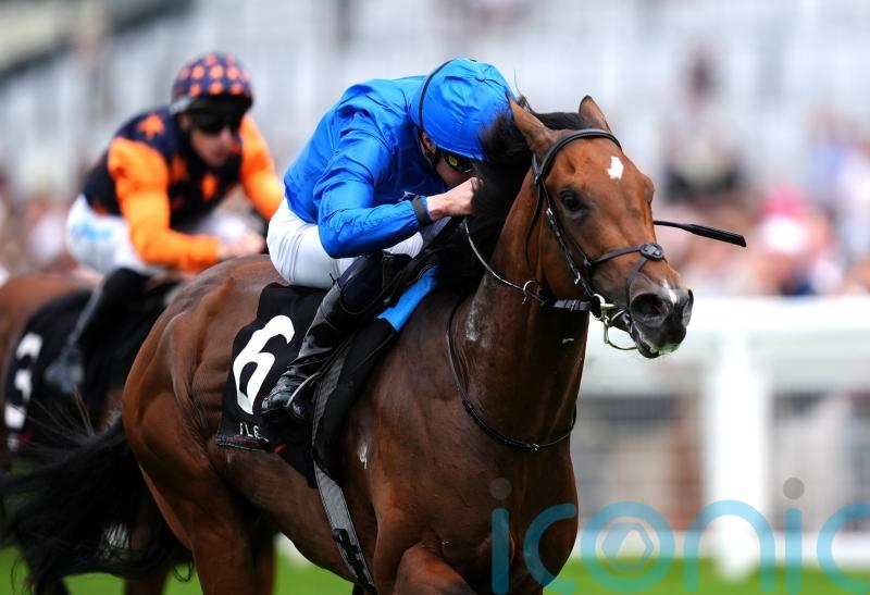 Time To Turn puts his name in the hat for big-race targets