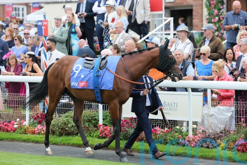 Maranoa Charlie on course for Foret challenge