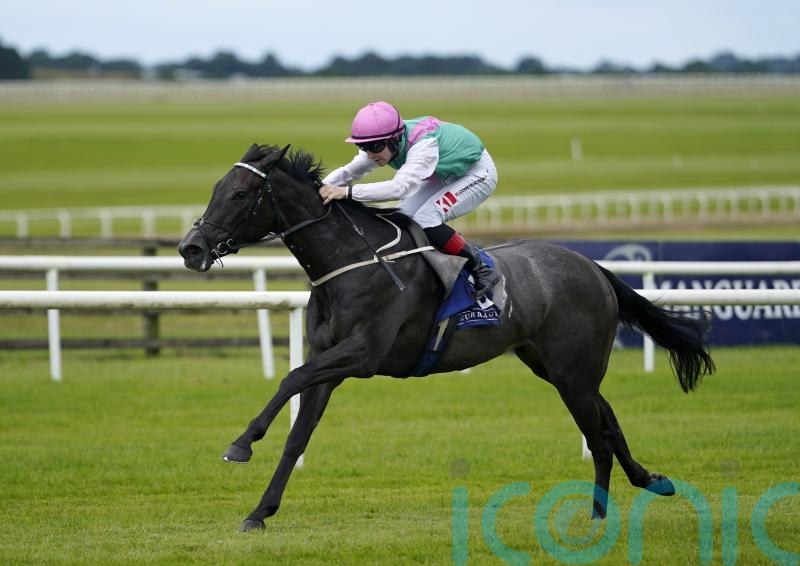 Red Letter steps up for Group Three Curragh test