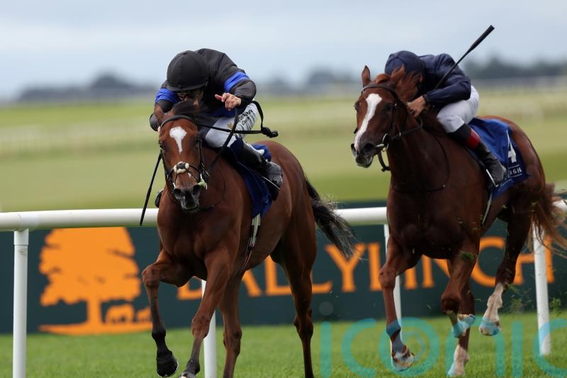 Queen Of Hawaii gets Classic quotes after Curragh performance