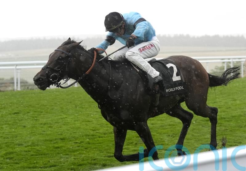 William Haggas ‘gutted’ as setback scuppers Merchant’s Arc hopes