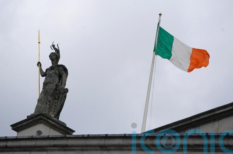 Ireland at ‘tipping point’ on response to citizenship issues, Taoiseach warns