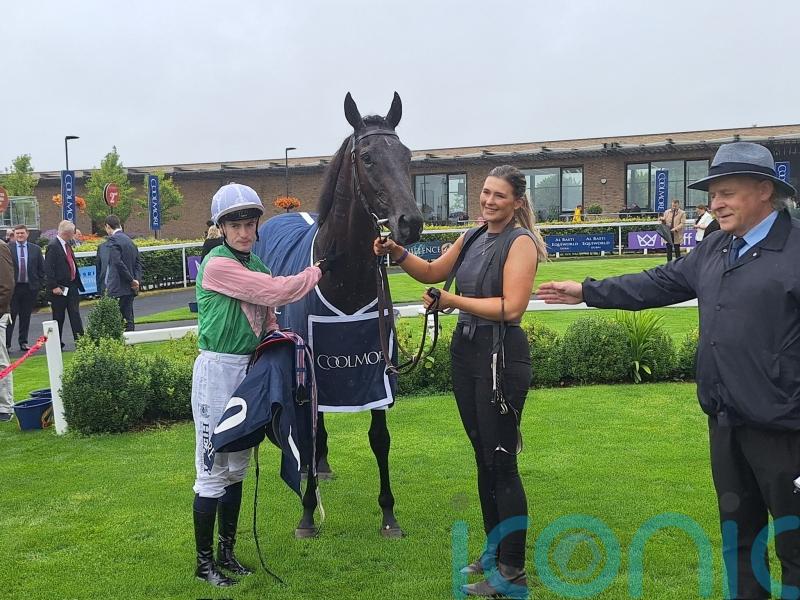 New owners for ‘extremely exciting’ Willie Mullins two-year-old