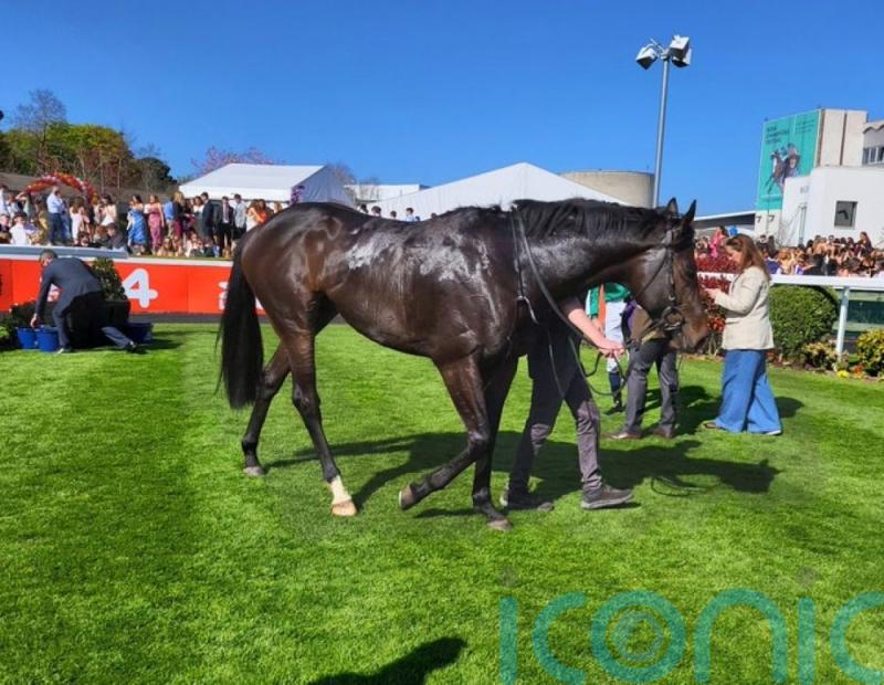 ‘Weather-watch’ for leading Solonoway contender Alakazi