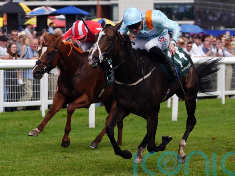 Rod Millman’s bargain buy Anthelia bags another big prize