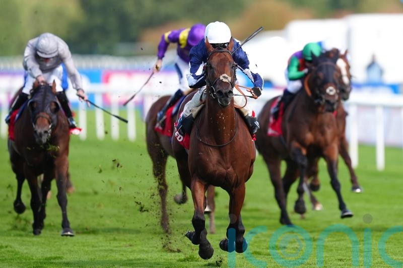 Marvelman finds top gear in Park Stakes