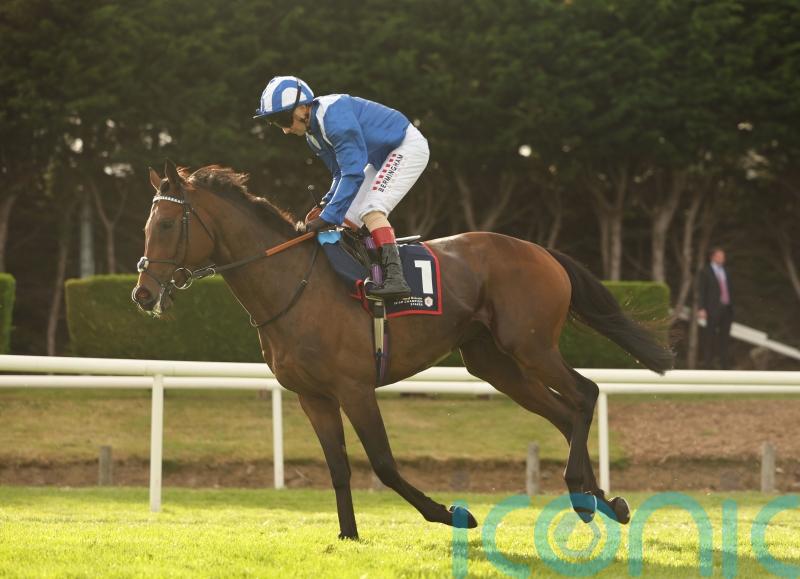 ‘Absolute blinder’ of a run sets Anmaat up for Ascot defence