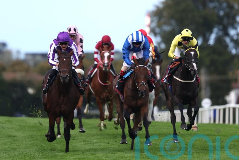 ‘Big tiger’ Delacroix delivers another Irish Champion for Aidan O’Brien