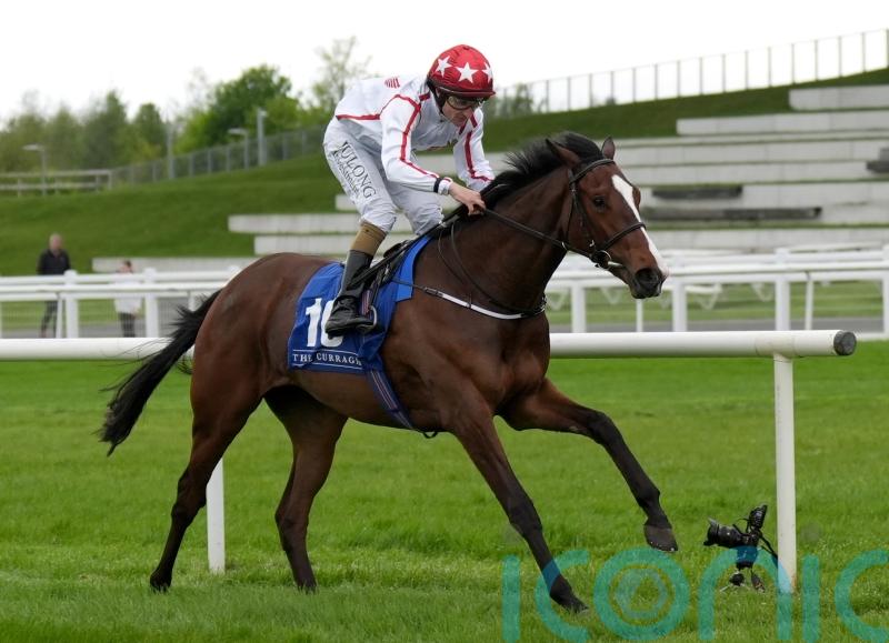 Barnavara books ticket to Paris with Blandford triumph