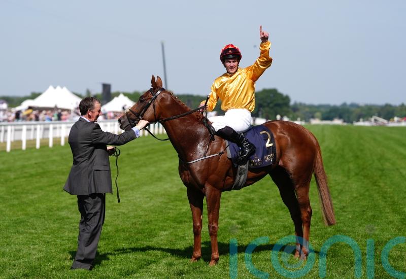 Breeders’ Cup enters the equation for Cercene