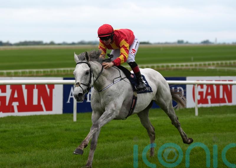 White Birch heading back up in trip for Arc bid