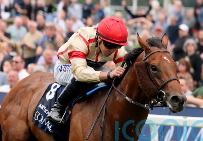 Ain’t Nobody captains Kevin Ryan’s Ayr Gold Cup team