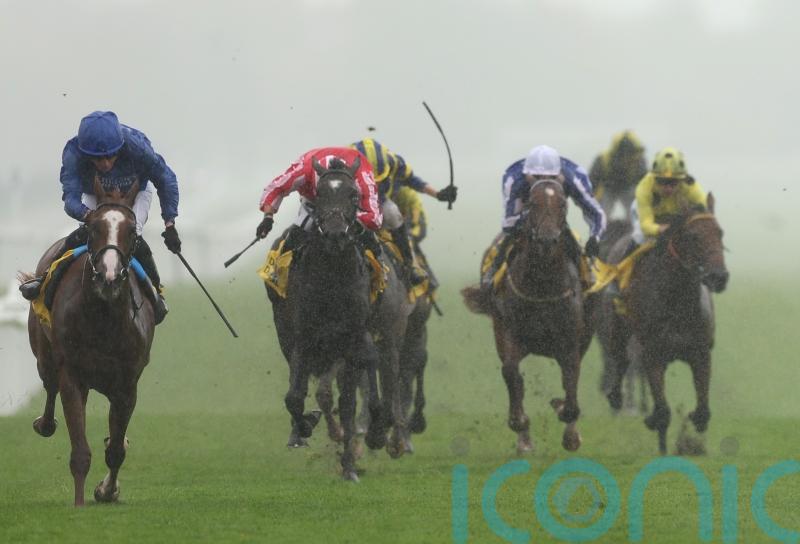 Words Of Truth denies Into The Sky in Mill Reef