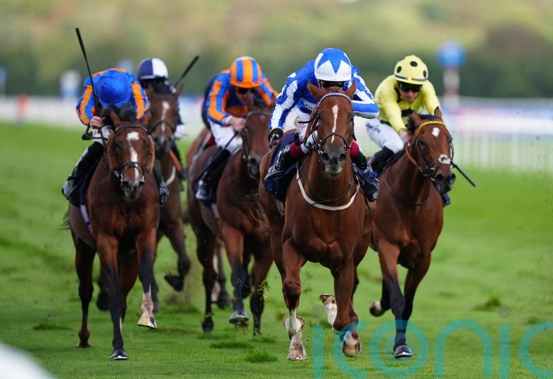 Revival Power plans yet to be decided