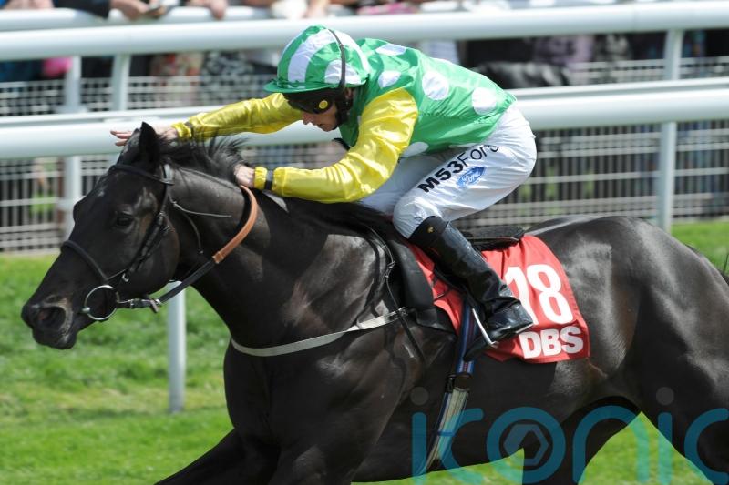 Stallion giant Wootton Bassett dies aged 17