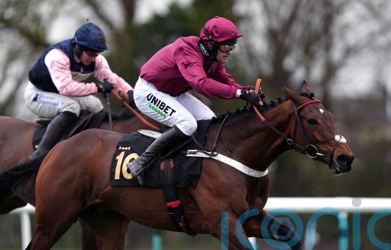 Palladium aiming to prove his staying mettle at Newmarket