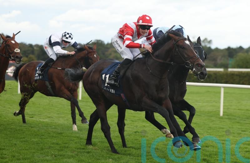 Donnacha O’Brien confident Happy Pharoah can shine in Irish Cesarewitch